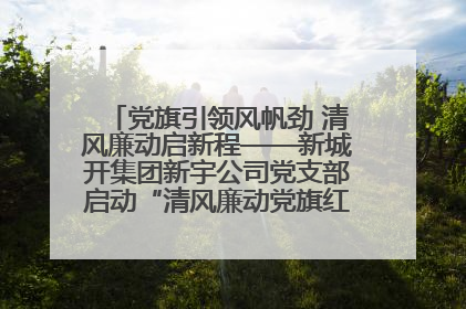 党旗引领风帆劲 清风廉动启新程——新城开集团新宇公司党支部启动“清风廉动党旗红”系列活动