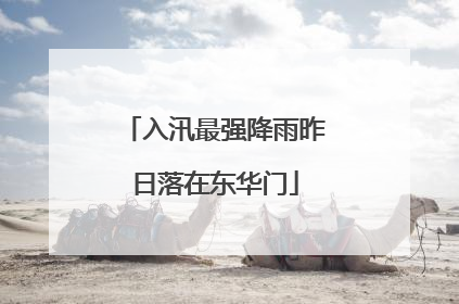 入汛最强降雨昨日落在东华门