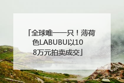 全球唯一一只！薄荷色LABUBU以108万元拍卖成交