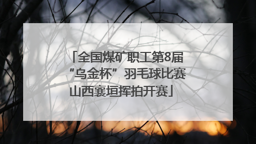 全国煤矿职工第8届“乌金杯”羽毛球比赛山西襄垣挥拍开赛