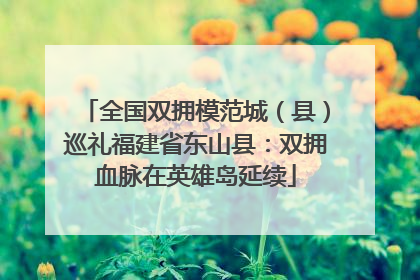 全国双拥模范城（县）巡礼福建省东山县：双拥血脉在英雄岛延续