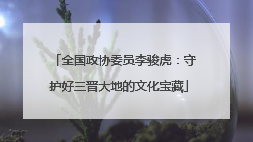 全国政协委员李骏虎：守护好三晋大地的文化宝藏