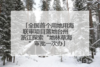 全国首个用地用海联审项目落地台州 浙江探索“地林草海”审批一次办
