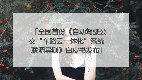 全国首份《自动驾驶公交“车路云一体化”系统联调导则》白皮书发布