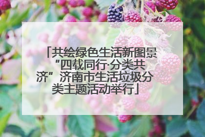 共绘绿色生活新图景 “四载同行·分类共济”济南市生活垃圾分类主题活动举行