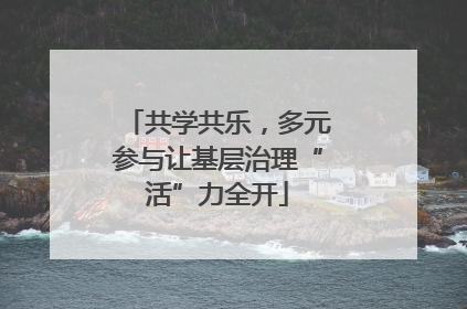 共学共乐，多元参与让基层治理“活”力全开