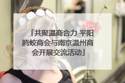 共聚温商合力 平阳腾蛟商会与南京温州商会开展交流活动