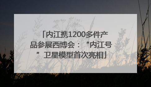 内江携1200多件产品参展西博会：“内江号”卫星模型首次亮相