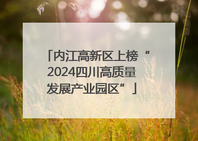 内江高新区上榜“2024四川高质量发展产业园区”