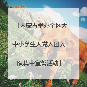 内蒙古举办全区大中小学生入党入团入队集中宣誓活动