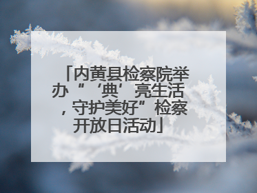 内黄县检察院举办“‘典’亮生活，守护美好”检察开放日活动