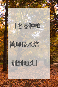 冬枣种植管理技术培训到地头