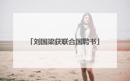 刘国梁获联合国聘书