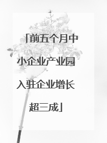 前五个月中小企业产业园入驻企业增长超三成