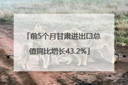 前5个月甘肃进出口总值同比增长43.2%