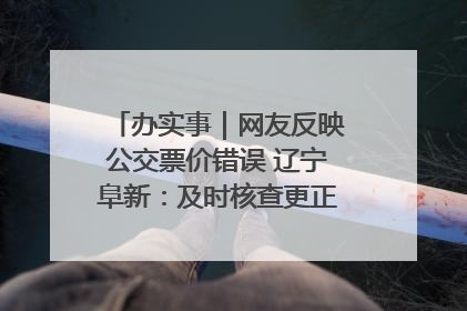 办实事｜网友反映公交票价错误 辽宁阜新：及时核查更正 加强实时巡检
