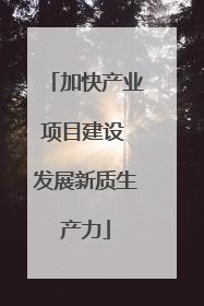 加快产业项目建设 发展新质生产力