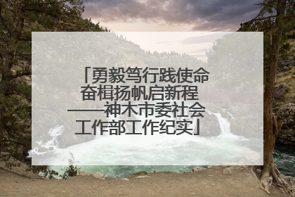 勇毅笃行践使命 奋楫扬帆启新程——神木市委社会工作部工作纪实