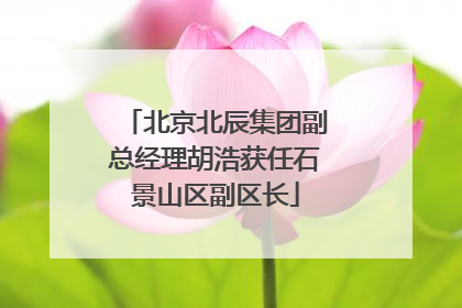 北京北辰集团副总经理胡浩获任石景山区副区长