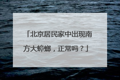 北京居民家中出现南方大蟑螂，正常吗？