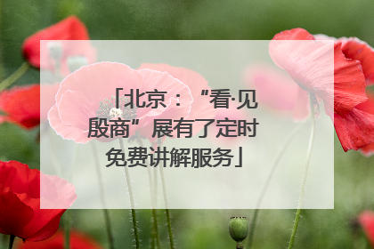 北京：“看·见殷商”展有了定时免费讲解服务