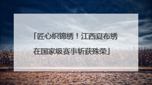 匠心织锦绣！江西夏布绣在国家级赛事斩获殊荣