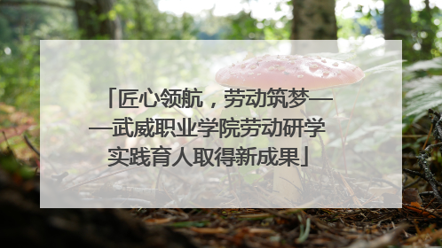匠心领航，劳动筑梦——武威职业学院劳动研学实践育人取得新成果