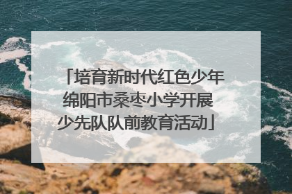 培育新时代红色少年 绵阳市桑枣小学开展少先队队前教育活动