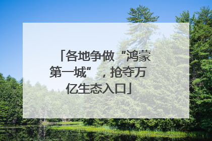 各地争做“鸿蒙第一城”，抢夺万亿生态入口