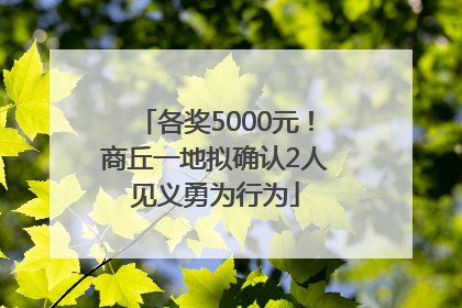 各奖5000元！商丘一地拟确认2人见义勇为行为