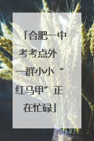 合肥一中考考点外 一群小小“红马甲”正在忙碌