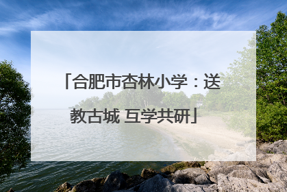 合肥市杏林小学：送教古城 互学共研