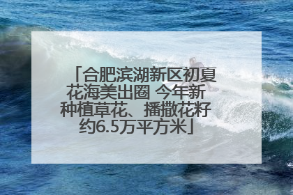 合肥滨湖新区初夏花海美出圈 今年新种植草花、播撒花籽约6.5万平方米