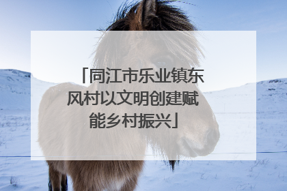 同江市乐业镇东风村以文明创建赋能乡村振兴