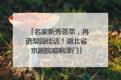 名家新秀荟萃，再谱梨园佳话！湖北省京剧院唱响津门