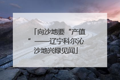 向沙地要“产值”——辽宁科尔沁沙地兴绿见闻