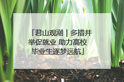 君山观潮｜多措并举促就业 助力高校毕业生逐梦远航