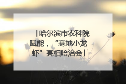 哈尔滨市农科院赋能，“寒地小龙虾”亮相哈洽会