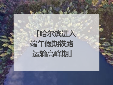 哈尔滨进入端午假期铁路运输高峰期