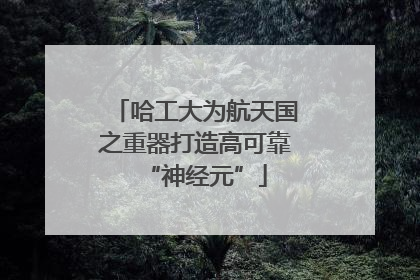 哈工大为航天国之重器打造高可靠“神经元”