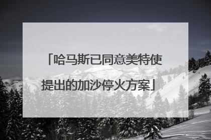 哈马斯已同意美特使提出的加沙停火方案
