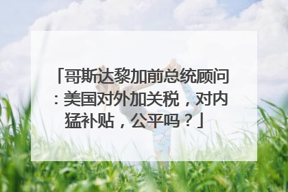 哥斯达黎加前总统顾问：美国对外加关税，对内猛补贴，公平吗？