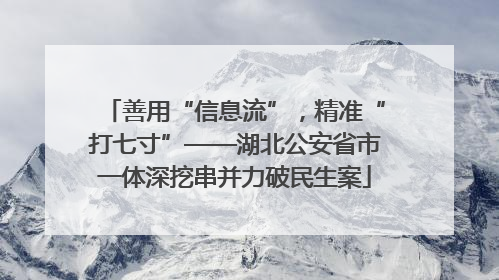 善用“信息流”，精准“打七寸”——湖北公安省市一体深挖串并力破民生案