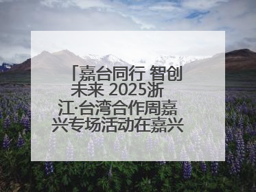 嘉台同行 智创未来 2025浙江·台湾合作周嘉兴专场活动在嘉兴经开区启幕
