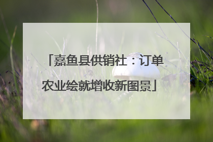 嘉鱼县供销社:订单农业绘就增收新图景