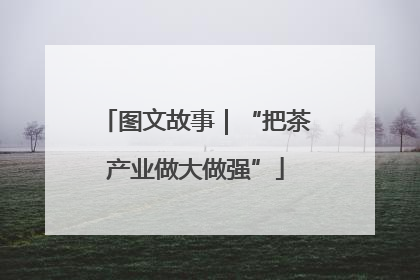 图文故事｜“把茶产业做大做强”