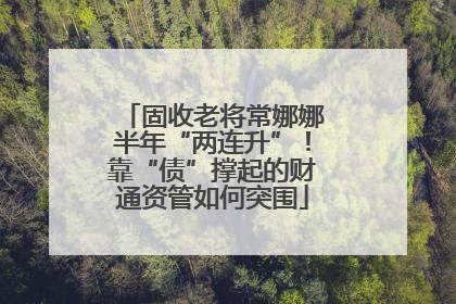 固收老将常娜娜半年“两连升”！靠“债”撑起的财通资管如何突围