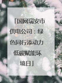 国网瑞安市供电公司：绿色同行添动力 低碳赋能环境日