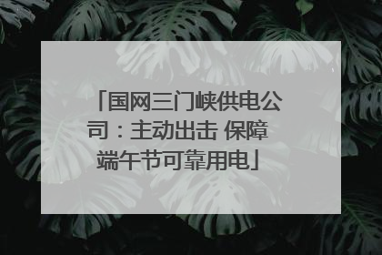 国网三门峡供电公司：主动出击 保障端午节可靠用电