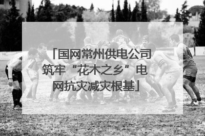 国网常州供电公司筑牢“花木之乡”电网抗灾减灾根基